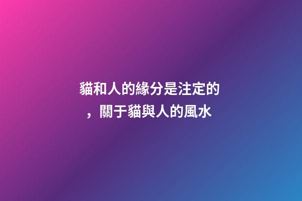 貓和人的緣分是注定的，關于貓與人的風水